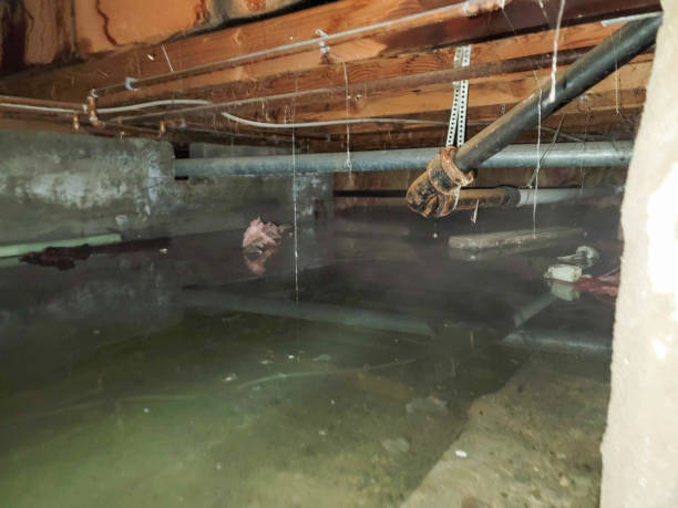 Best Wood Floor Water Damage Restoration in Tome, NM